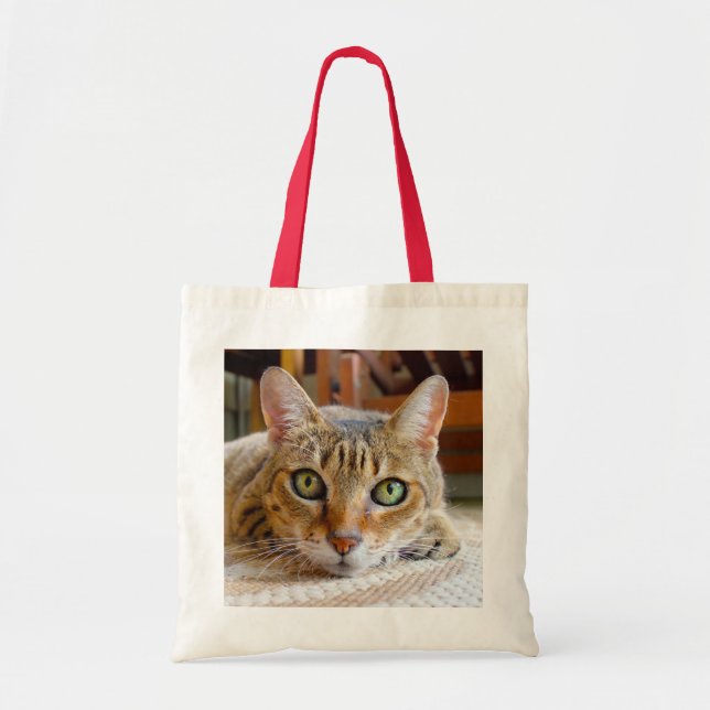 Sacs fourre-tout de chats mignons (Devant)