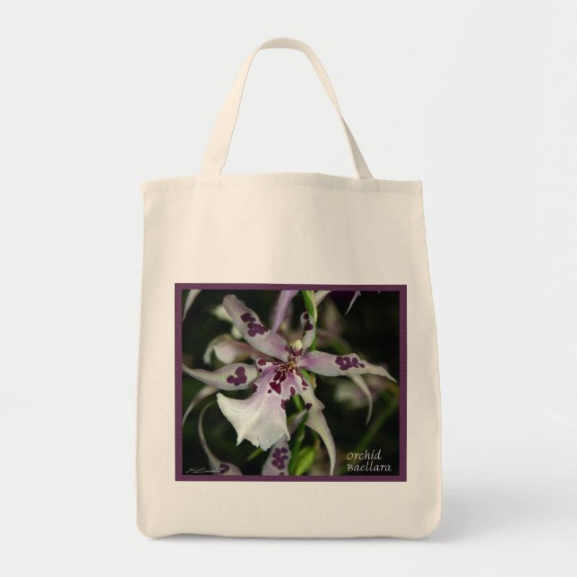 Sacs Orchid Beallara (Devant)