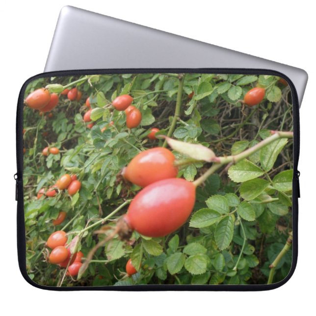 Sacs pour ordinateur portable Juicy Red Rose Hips (Devant)