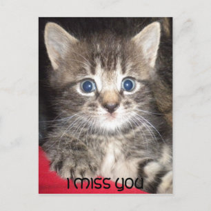 Sad Kitten - VOUS ME MANQUEZ Carte Postale
