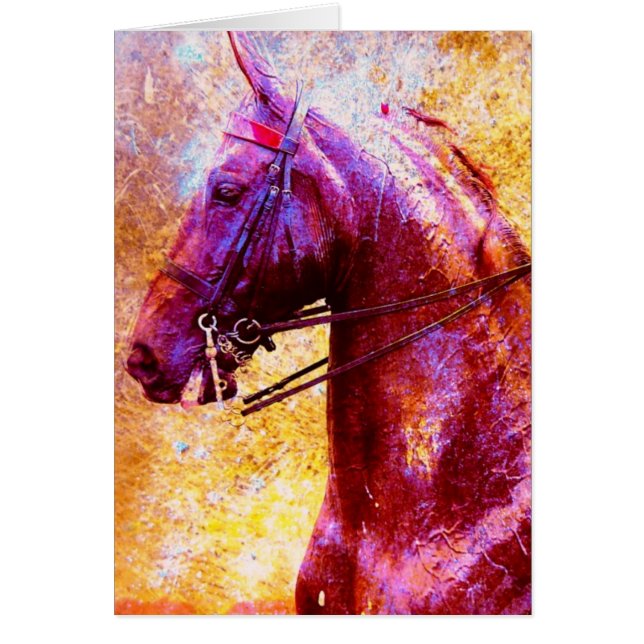 Saddleseat Grunge (Devant)