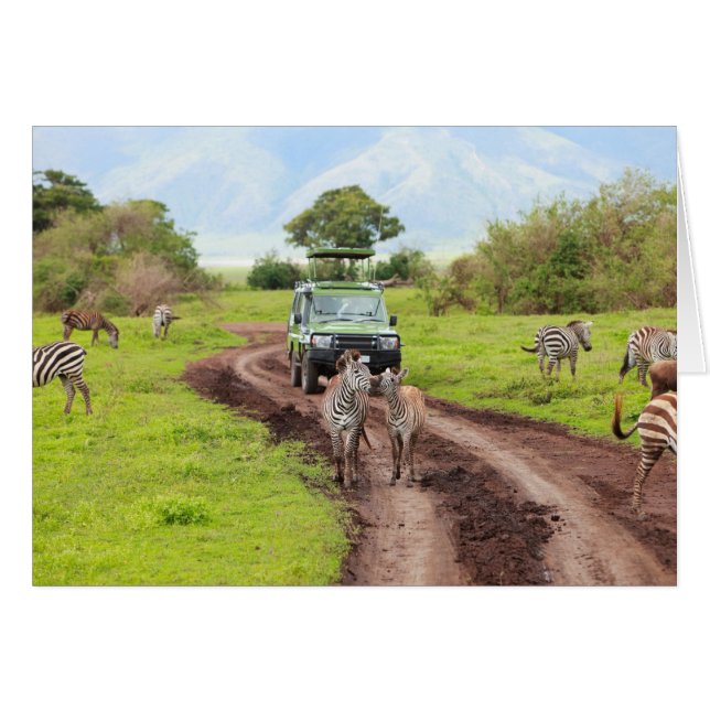 Safari (Devant horizontal)