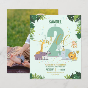 Safari Animaux Deux Budget Sauvage Photo Anniversa