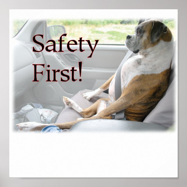 Safety Poster (Devant)