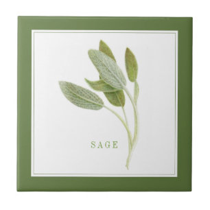 SAGE FRAIS 4.25x4.25 Carreaux en céramique (+texte