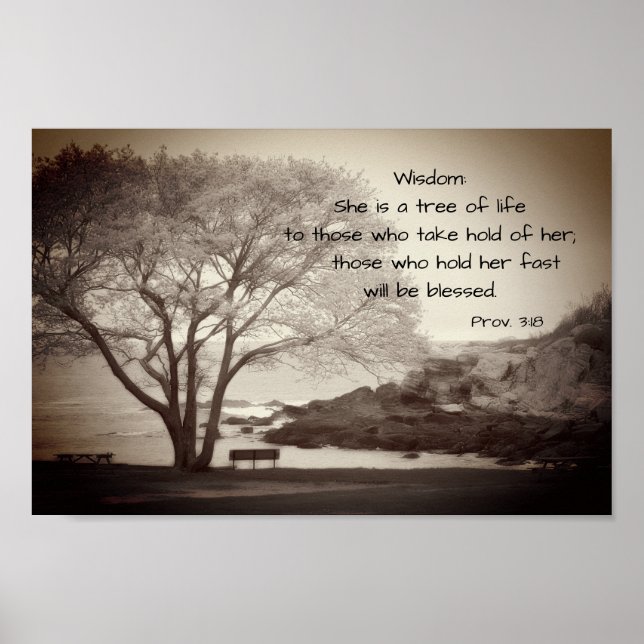 Sagesse Arbre Proverbes Inspiration Poster (Devant)