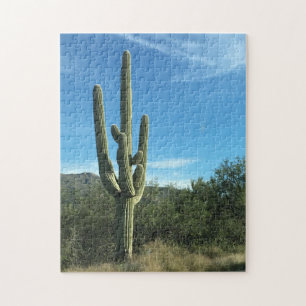 Saguaro Cactus Arizona Desert Puzzle Pittoresque