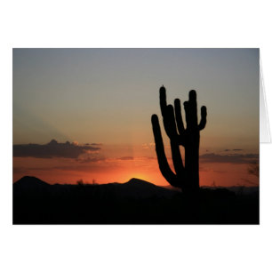Saguaro Cactus au coucher du soleil