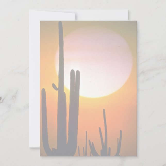 Saguaro cactus, désert de Sonoran, désert des État (Devant)