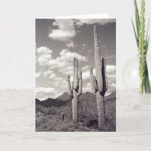 Saguaro Cactus Sonoran Desert Carte de voeux photo