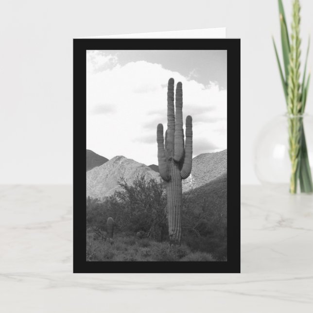 Saguaro Cactus Sonoran Desert Photo Cartes de voeu (Devant)