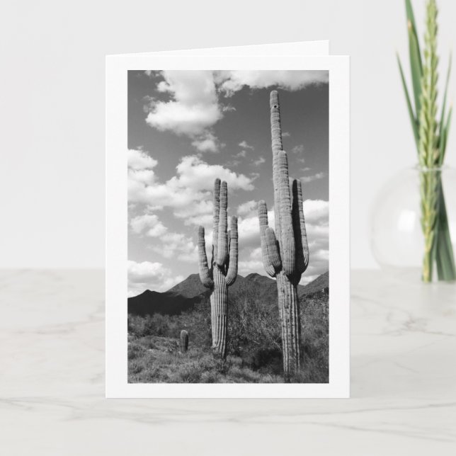Saguaro Cactus Sonoran Desert Photo Cartes de voeu (Devant)