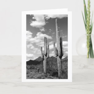 Saguaro Cactus Sonoran Desert Photo Cartes de voeu