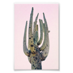 Saguaro Cutout   Impression photo