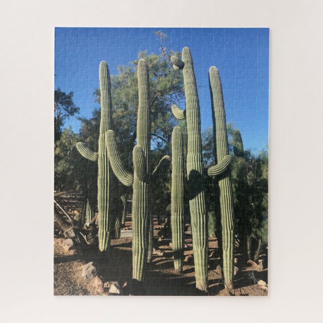 Saguaro Stand Puzzle (Vertical)