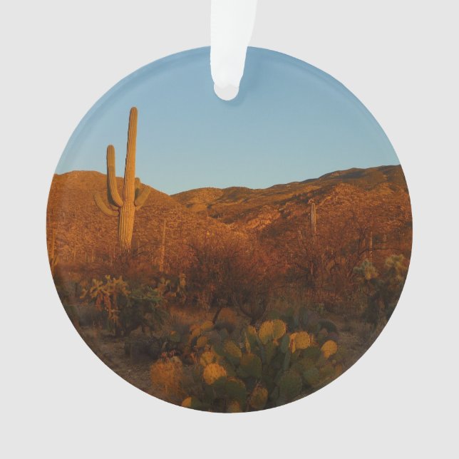 Saguaro Sunset I Arizona Désert Paysage (devant)