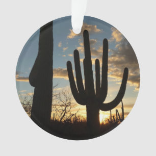 Saguaro Sunset II Arizona