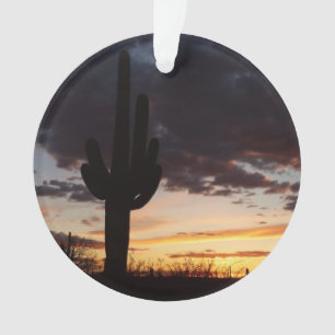 Saguaro Sunset III Arizona Desert Paysage