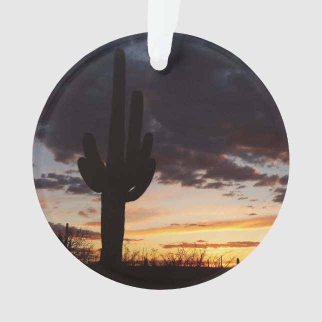 Saguaro Sunset III Arizona Desert Paysage (devant)