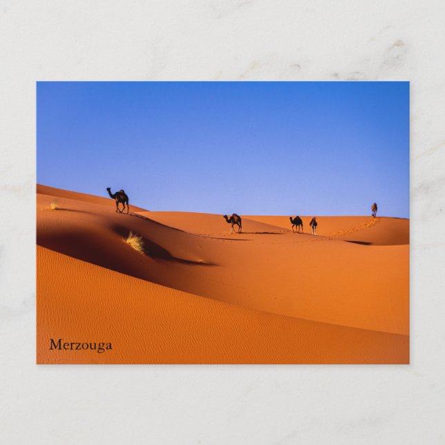 Sahara Merzouga tôt le matin Carte postale (Devant)