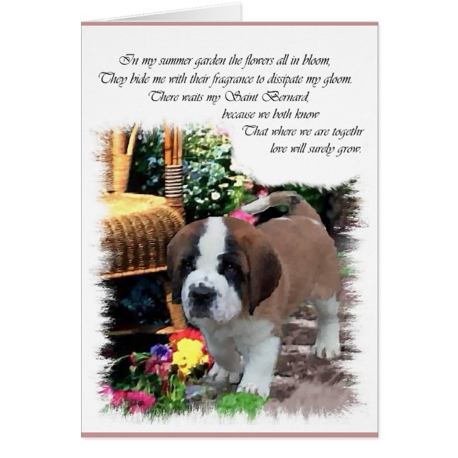 Saint Bernard Art Cadeaux (Devant)