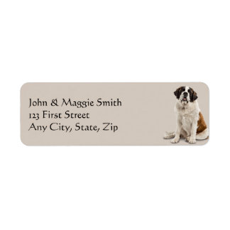 Saint Bernard Chien Animaux de compagnie Étiquette