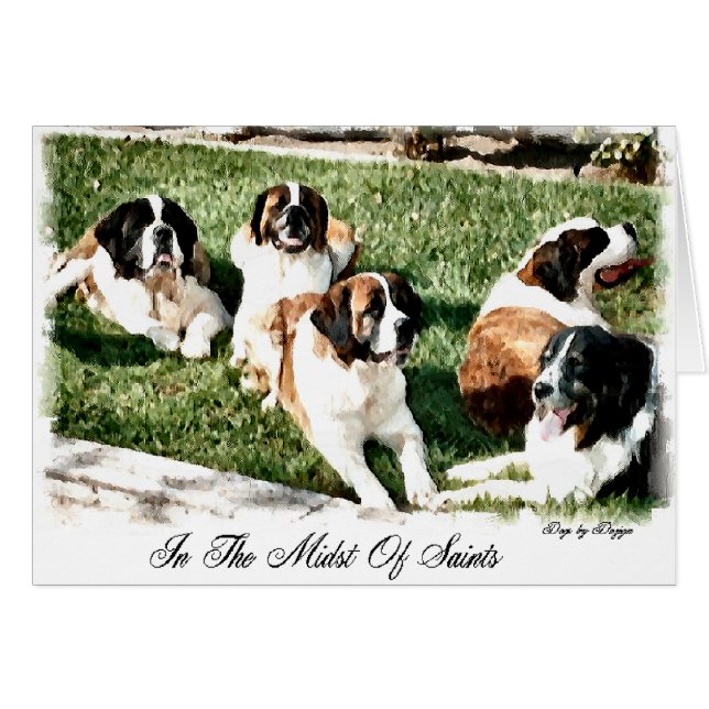 Saint Bernard Lovers (Devant horizontal)
