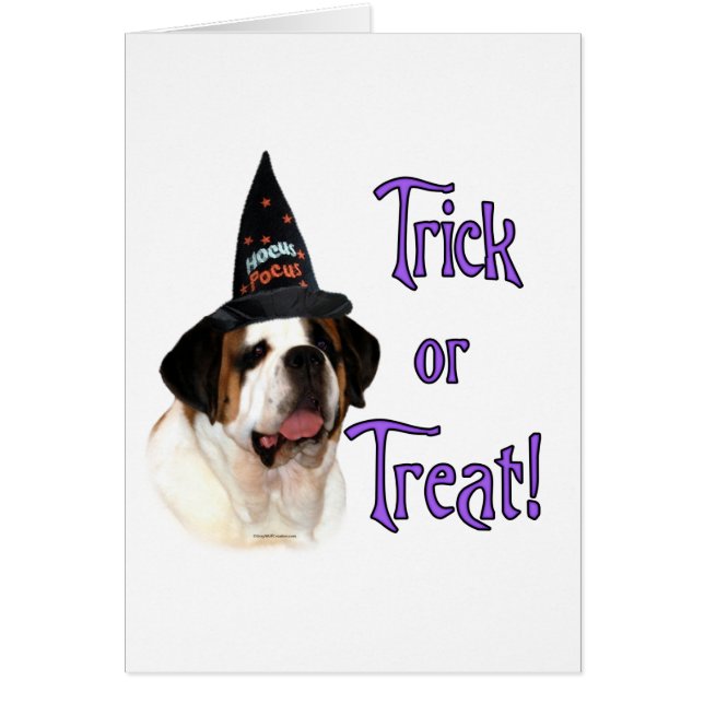 Saint Bernard Trick (Devant)