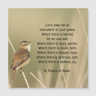 Saint François d'Assise Prière Oiseau Inspirationn