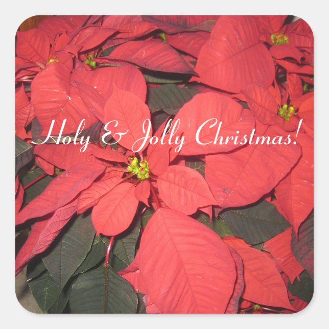 Saint & Jolly Noël, Poinsettia, Sticker (Devant)