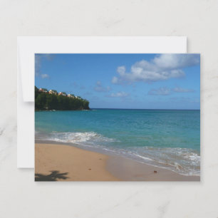 Saint Lucia Beach Paysage tropical