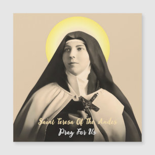 SAINT TERESA DES ANDES