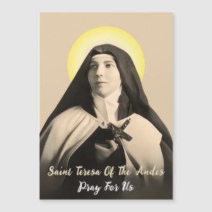 SAINT TERESA DES ANDES