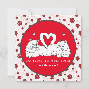 Saint Valentin Chats Perses blancs avec Coeurs