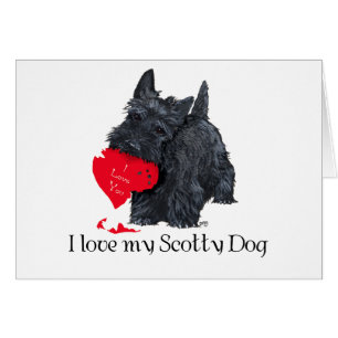 Saint-Valentin Terrier Écossais