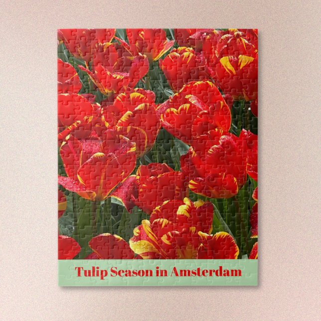 Saison des tulipes à Amsterdam Puzzle (Text may be edited or removed.)