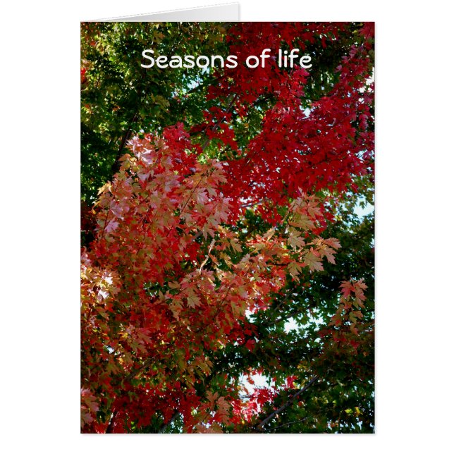 Saisons de la vie (Devant)