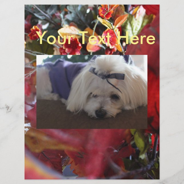 Saisons maltaises Design Feuille (Devant)