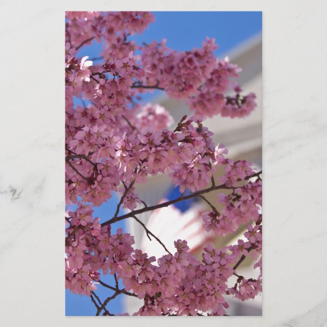 Sakura Cherry Blossoms (Devant)