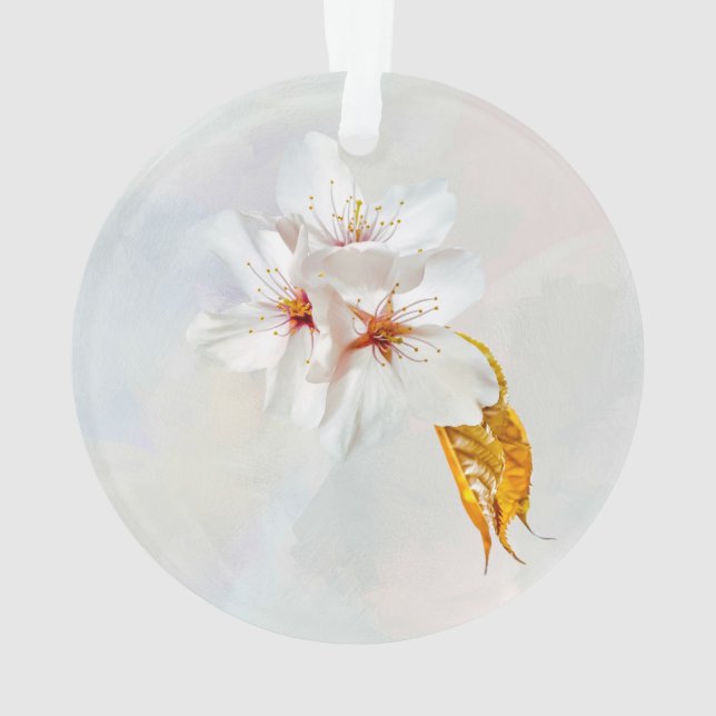 Sakura - Fleur de cerisier japonaise (dos)