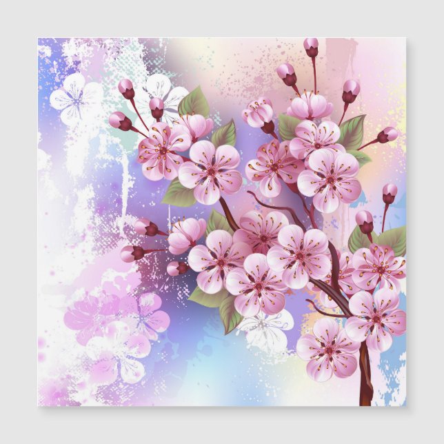 Sakura rose sur la peinture Arrière - plan (Devant)