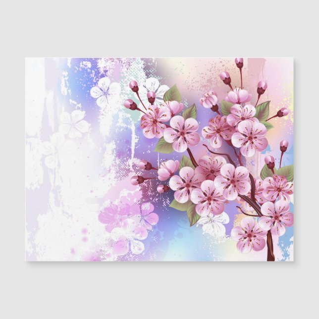 Sakura rose sur la peinture Arrière - plan (Devant)