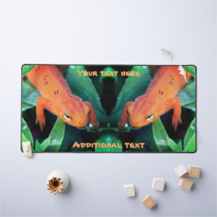 Salamandre rouge goutte de pluie sur l'oeil person