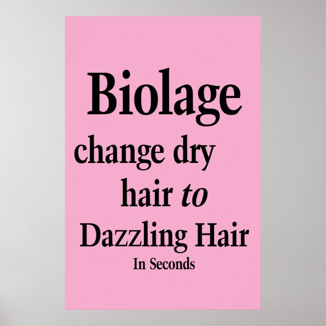 Salon Barbershop Poster Hair Dry to Dazz Biolage  (Devant)