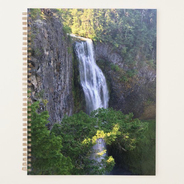 Salt Creek Falls (Devant)