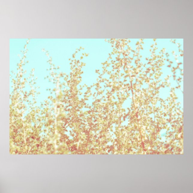 Saltbush Atriplex Leaf Nature Minimalistic Poster (Devant)