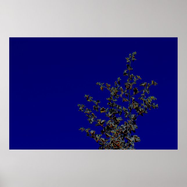 Saltbush Atriplex Leaf Nature Poster minimaliste (Devant)