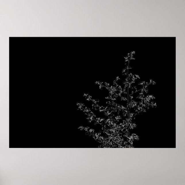 Saltbush Atriplex Leaf Nature Poster minimaliste (Devant)