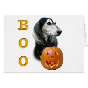 Saluki Boo