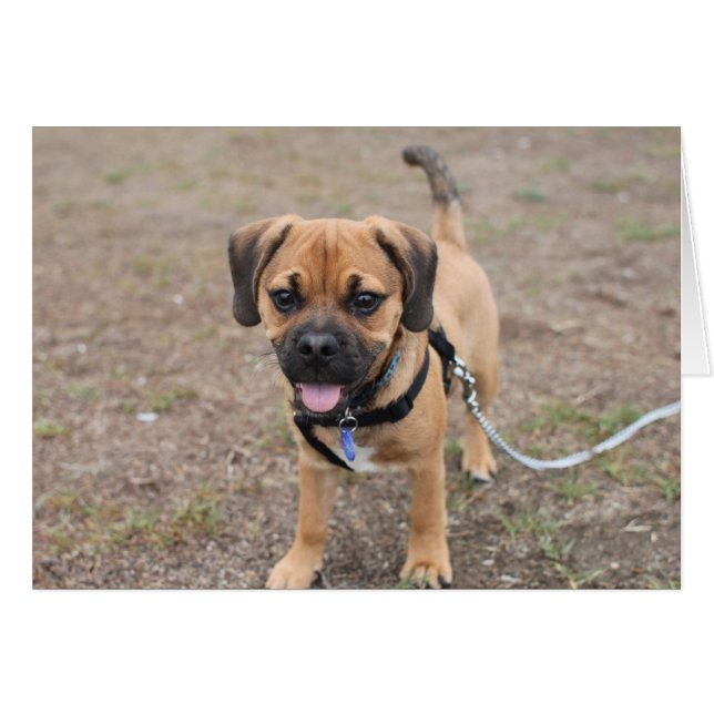 Salut, (Devant horizontal)